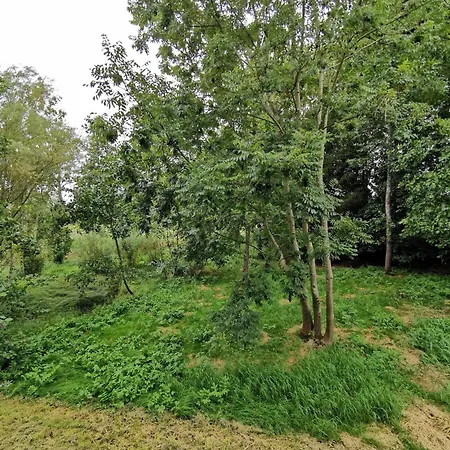 Oberschwaben - Stelzenhaus Im Naturparadies Mit Mehreren In